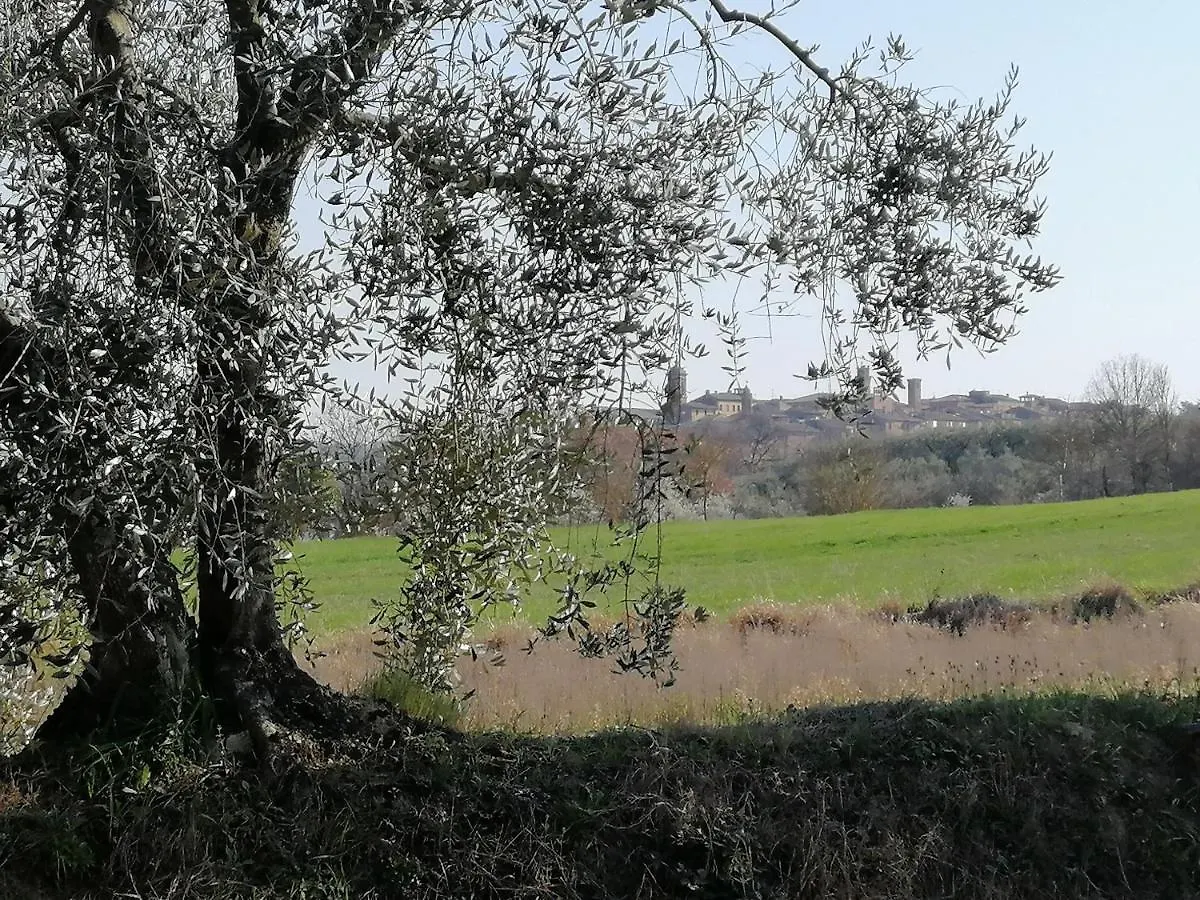 La Dimora Degli Olivi Apartment Torrita di Siena Italy