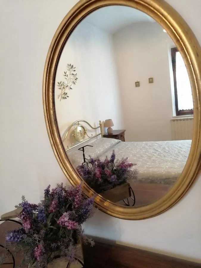 La Dimora Degli Olivi Apartment Torrita di Siena