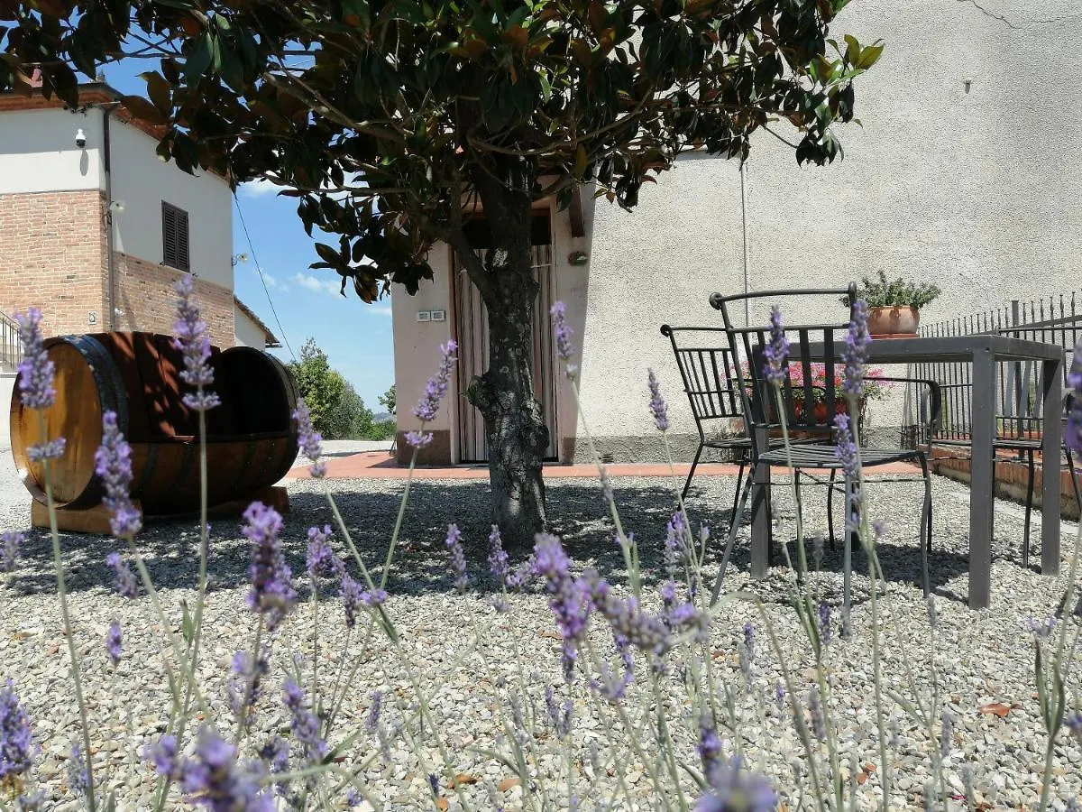 La Dimora Degli Olivi Apartment Torrita di Siena